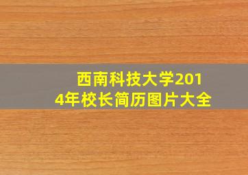 西南科技大学2014年校长简历图片大全