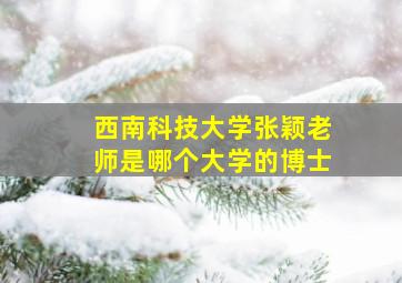 西南科技大学张颖老师是哪个大学的博士