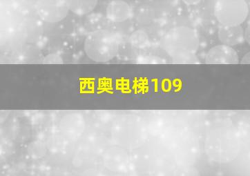 西奥电梯109