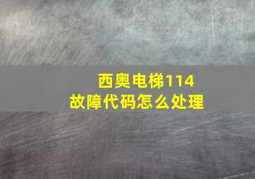 西奥电梯114故障代码怎么处理