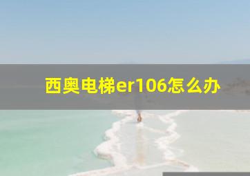 西奥电梯er106怎么办