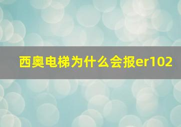 西奥电梯为什么会报er102