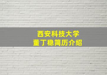 西安科技大学董丁稳简历介绍