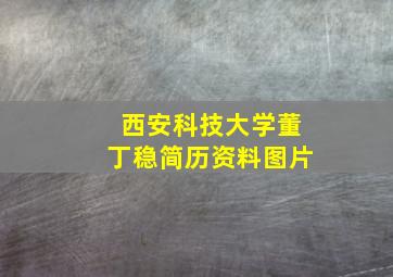 西安科技大学董丁稳简历资料图片