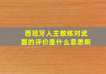 西班牙人主教练对武磊的评价是什么意思啊