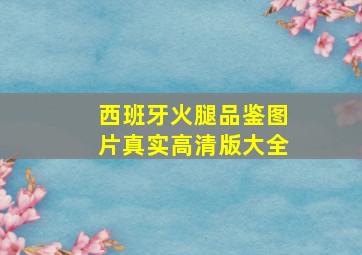 西班牙火腿品鉴图片真实高清版大全