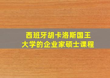 西班牙胡卡洛斯国王大学的企业家硕士课程