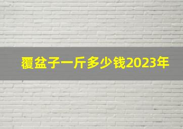 覆盆子一斤多少钱2023年