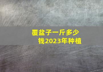 覆盆子一斤多少钱2023年种植