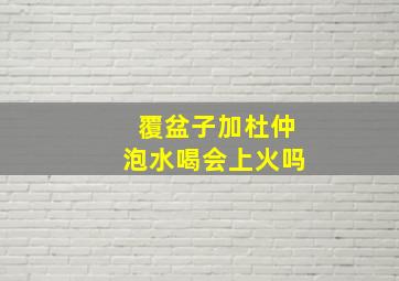 覆盆子加杜仲泡水喝会上火吗