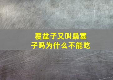 覆盆子又叫桑葚子吗为什么不能吃