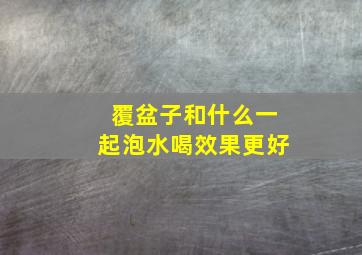 覆盆子和什么一起泡水喝效果更好