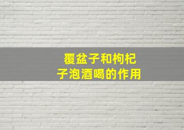 覆盆子和枸杞子泡酒喝的作用