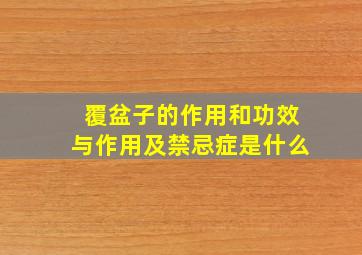 覆盆子的作用和功效与作用及禁忌症是什么