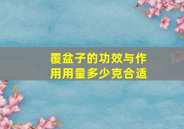 覆盆子的功效与作用用量多少克合适