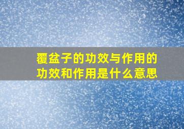 覆盆子的功效与作用的功效和作用是什么意思