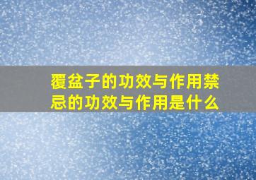 覆盆子的功效与作用禁忌的功效与作用是什么