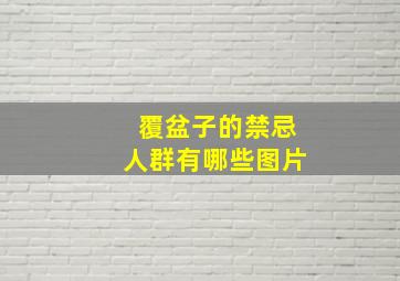 覆盆子的禁忌人群有哪些图片