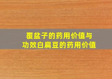 覆盆子的药用价值与功效白扁豆的药用价值