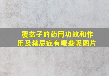 覆盆子的药用功效和作用及禁忌症有哪些呢图片