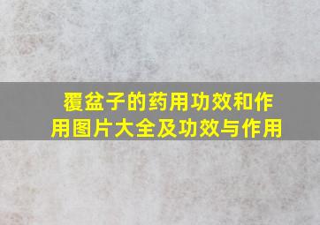 覆盆子的药用功效和作用图片大全及功效与作用