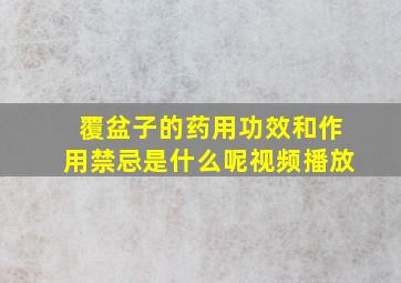 覆盆子的药用功效和作用禁忌是什么呢视频播放