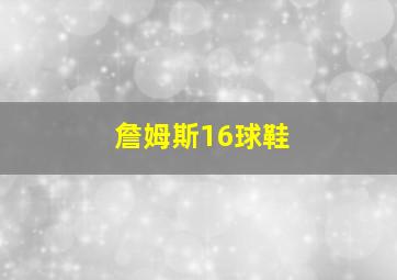 詹姆斯16球鞋