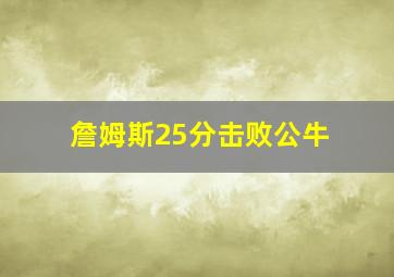 詹姆斯25分击败公牛