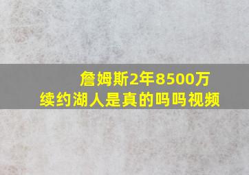 詹姆斯2年8500万续约湖人是真的吗吗视频