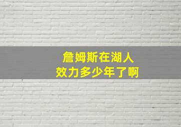 詹姆斯在湖人效力多少年了啊