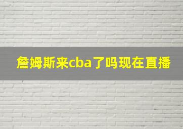 詹姆斯来cba了吗现在直播