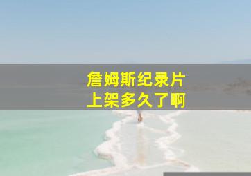 詹姆斯纪录片上架多久了啊