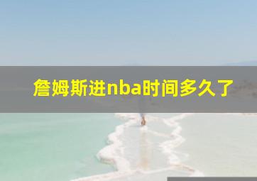 詹姆斯进nba时间多久了