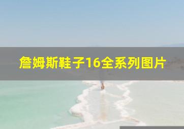 詹姆斯鞋子16全系列图片