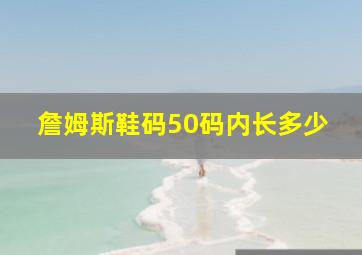 詹姆斯鞋码50码内长多少