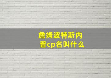 詹姆波特斯内普cp名叫什么