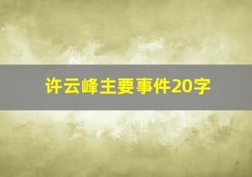 许云峰主要事件20字