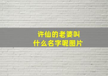 许仙的老婆叫什么名字呢图片