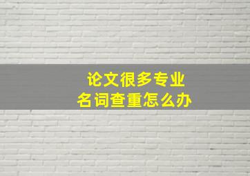 论文很多专业名词查重怎么办