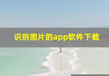 识别图片的app软件下载