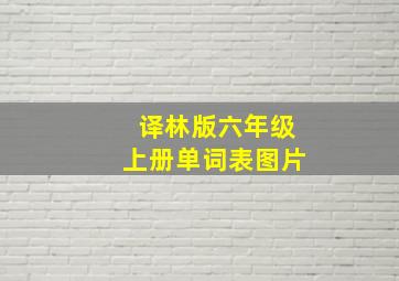 译林版六年级上册单词表图片