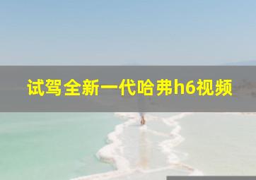 试驾全新一代哈弗h6视频