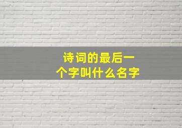 诗词的最后一个字叫什么名字