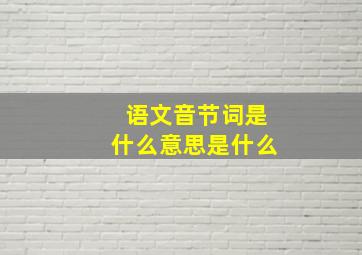 语文音节词是什么意思是什么