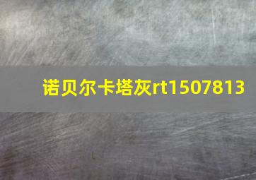 诺贝尔卡塔灰rt1507813