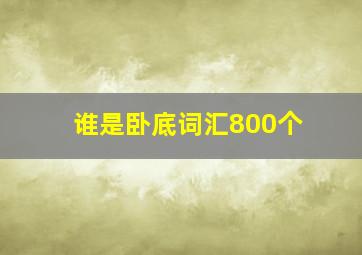 谁是卧底词汇800个