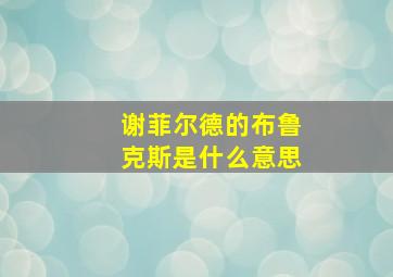 谢菲尔德的布鲁克斯是什么意思