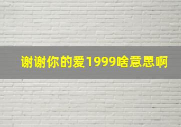 谢谢你的爱1999啥意思啊