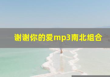 谢谢你的爱mp3南北组合