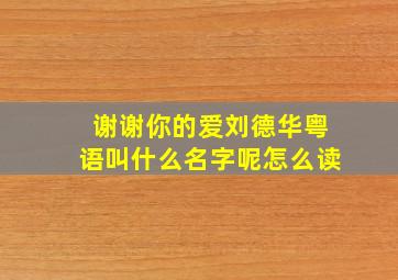 谢谢你的爱刘德华粤语叫什么名字呢怎么读